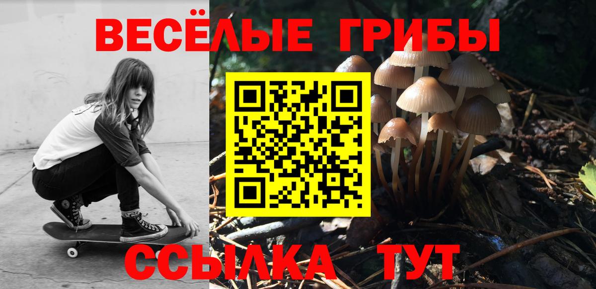 Псилоцибиновые грибы MAGIC MUSHROOMS  Вход с VPN  купить наркоту  Дмитров 
