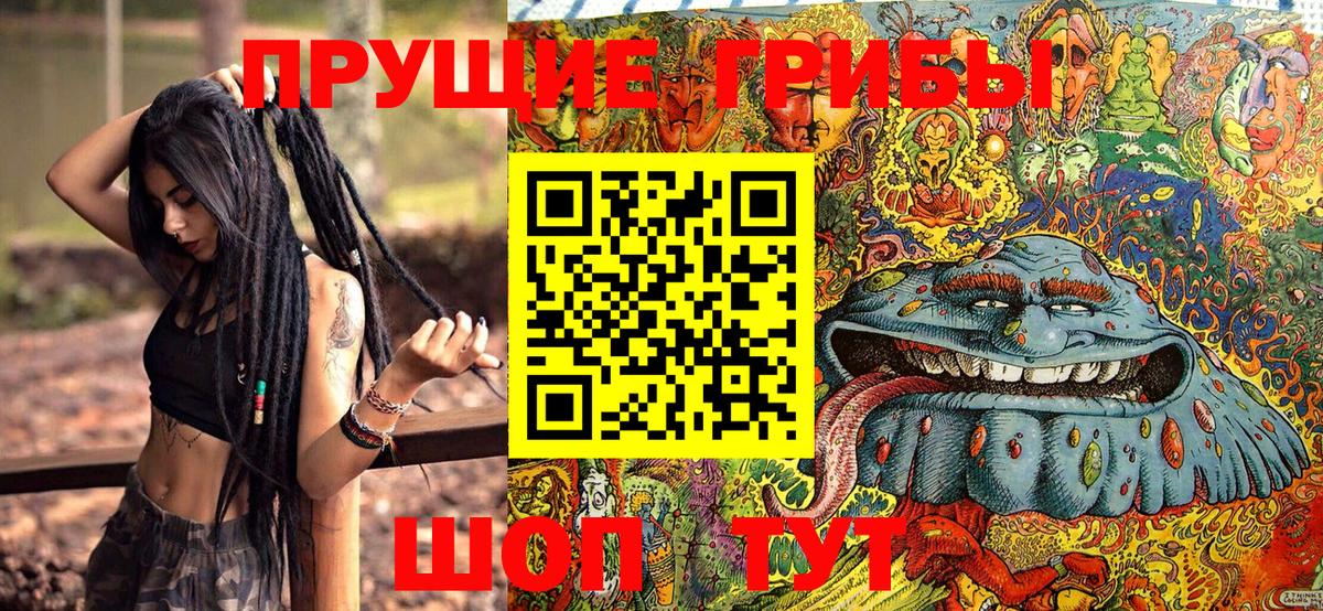 Псилоцибиновые грибы GOLDEN TEACHER Дмитров